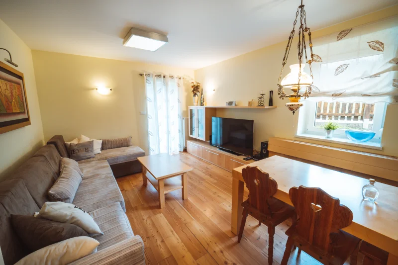 house-planica-living-room